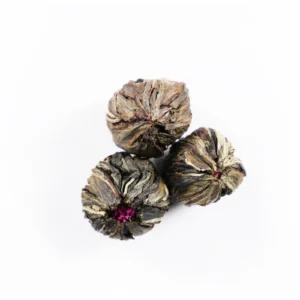 Blooming Flower - Ceylon